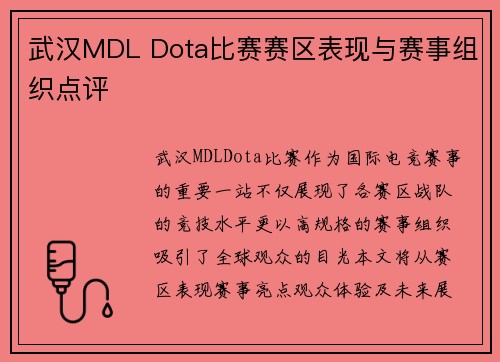 武汉MDL Dota比赛赛区表现与赛事组织点评